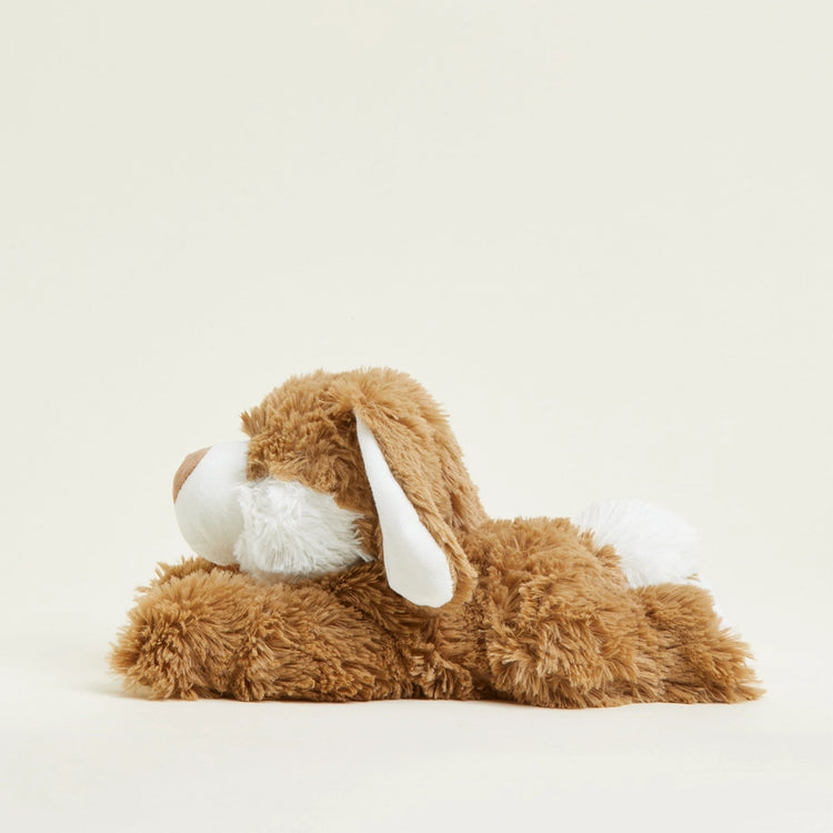 Warmies | Brown Bunny - 6