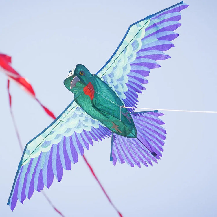 Kite | 3D Hummingbird - CR Toys