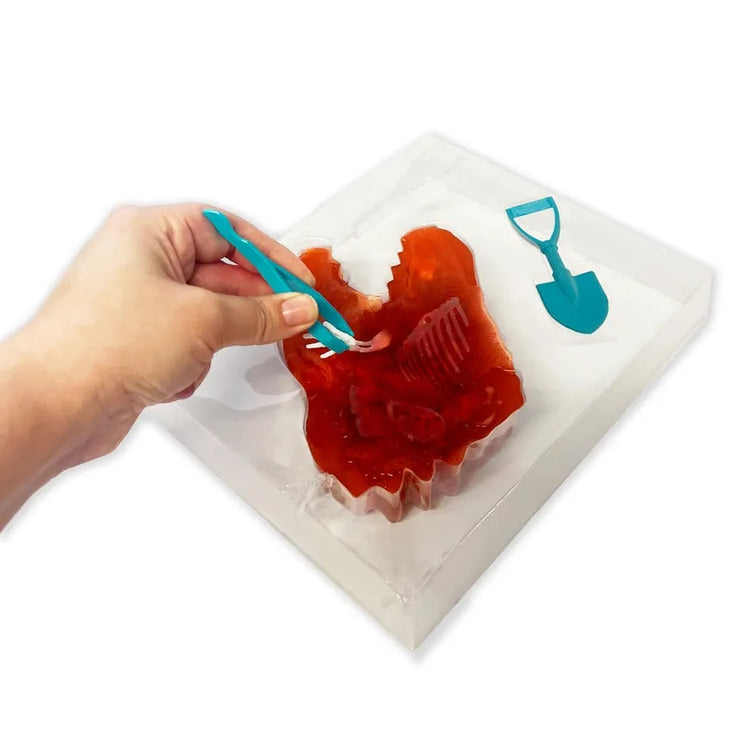 Discover-It Dinosaur Dig 1152-9906