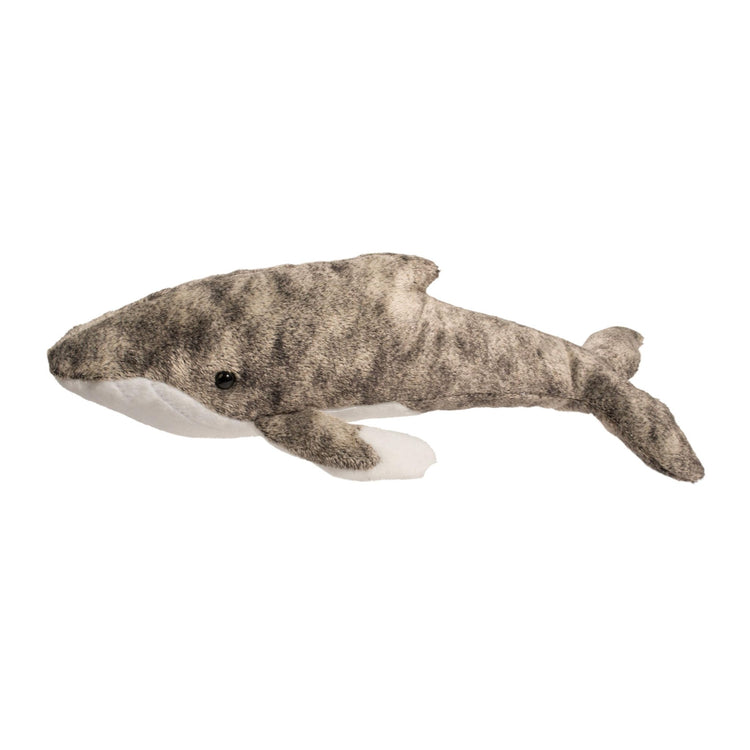 Archie Humpback Whale 3804