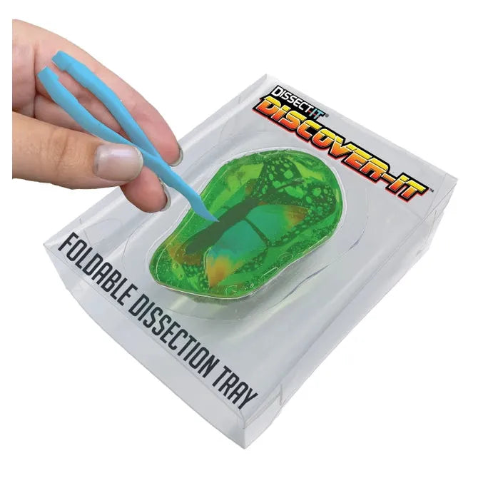 Discover-It Butterfly Metamorphosis Lab 1123-9912