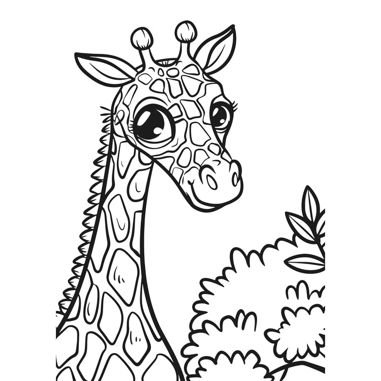 XXL Coloring Book | Animal Kingdom - 6