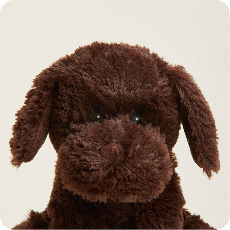 Warmies Chocolate Labrador photo