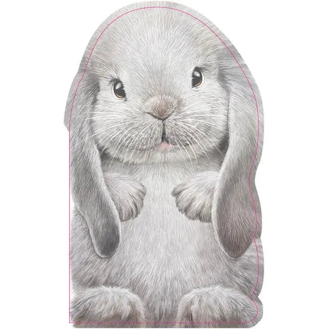 Furry Bunny Book Boardbook