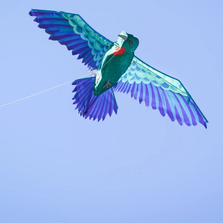 Kite | 3D Hummingbird - CR Toys