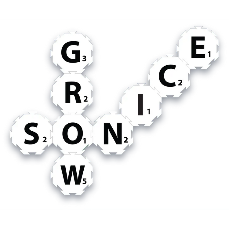 Wordsnap Game Ages 8+