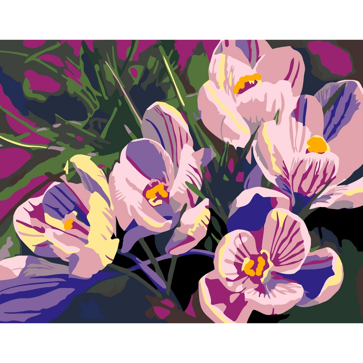 Paint By Number |s Flowers 15111-We