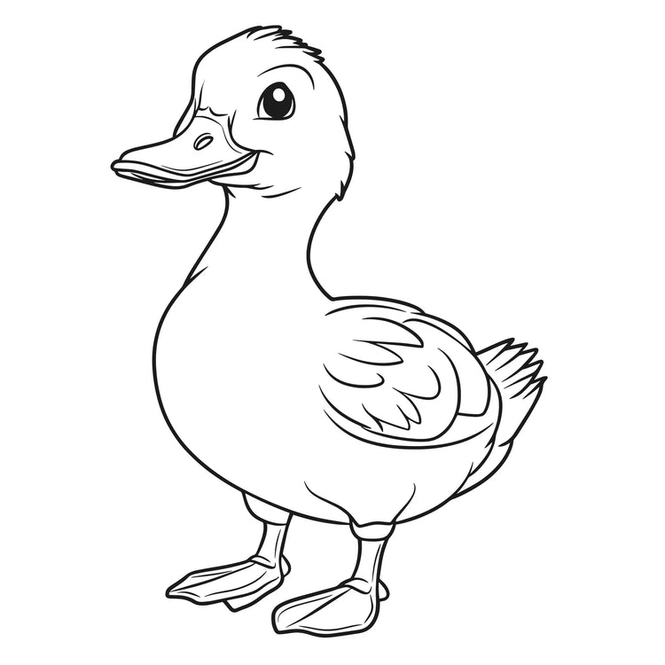 XXL Coloring Book | Farm Friends - 6