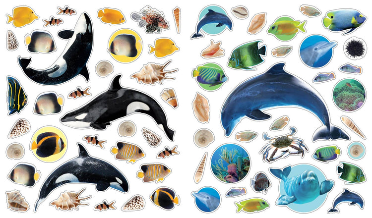 eyelike stickers ocean interior view 2