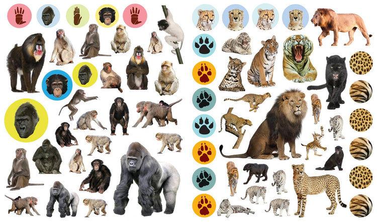 eyelike stickers wild animals interior view 3