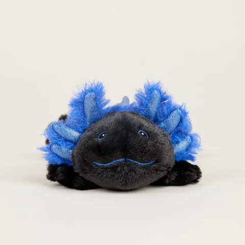 Warmeis Junior | Black Axolotl
