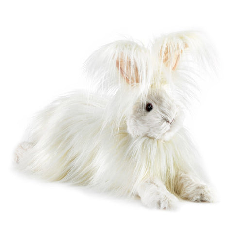 Angora Rabbit 3188 - 1