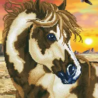 Diamond Dots Wild & Free Paint Horse