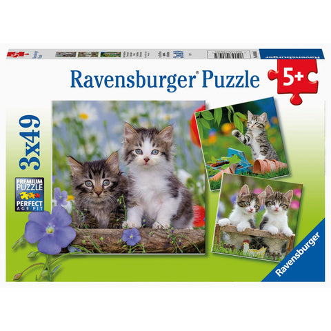 Puzzle | Cuddly Kittens | 3 x 49 pc - CR Toys