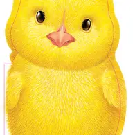 Furry Chick Boardbook