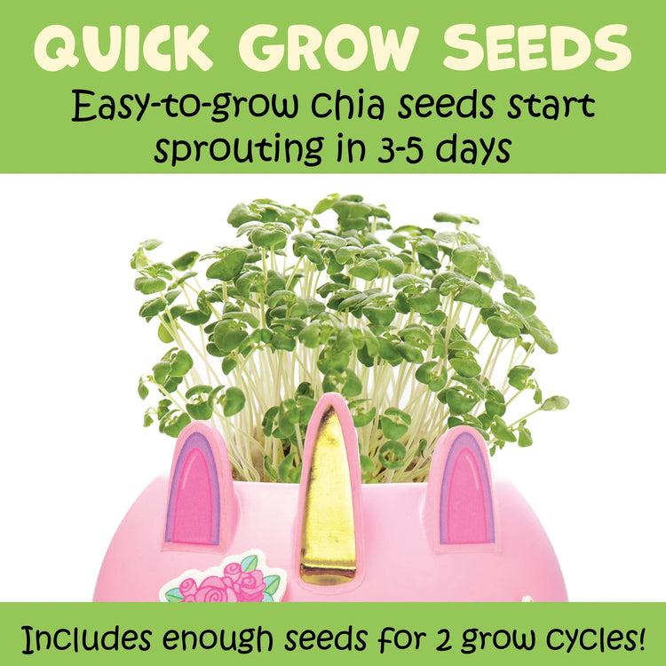 Plant and Decorate A Pet Mini Grow Craft 6466000