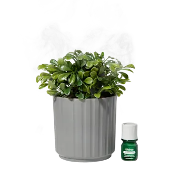 Lifelines Plant Diffuser | |Boxwood Plant Ribbed Gray 11-1611