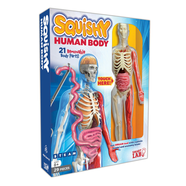Smart Lab | Squishy Human Body | Ages 8+