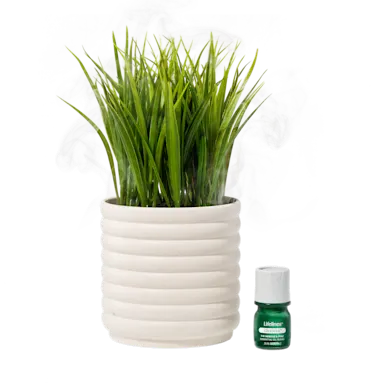 Lifelines Plant Diffuser | |Grass Plant Bubble White 11-1608