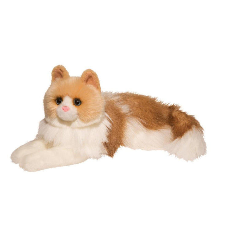 Kiki Ragdoll Cat 284