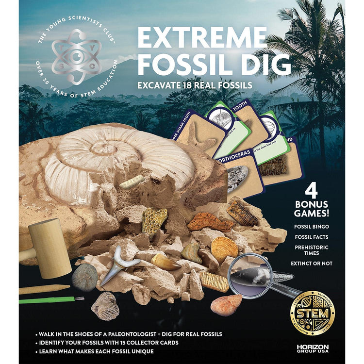 Extreme Fossil Dig 208004