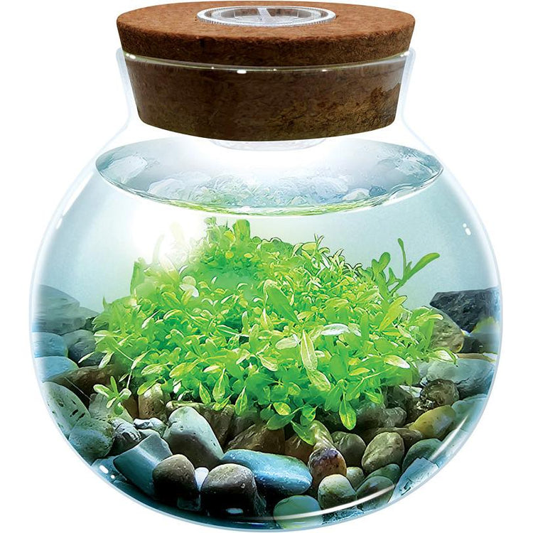 WaterPlants - Create Your Own Aquascape