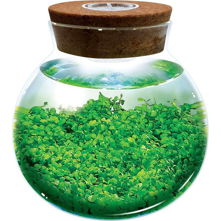 WaterPlants - Create Your Own Aquascape