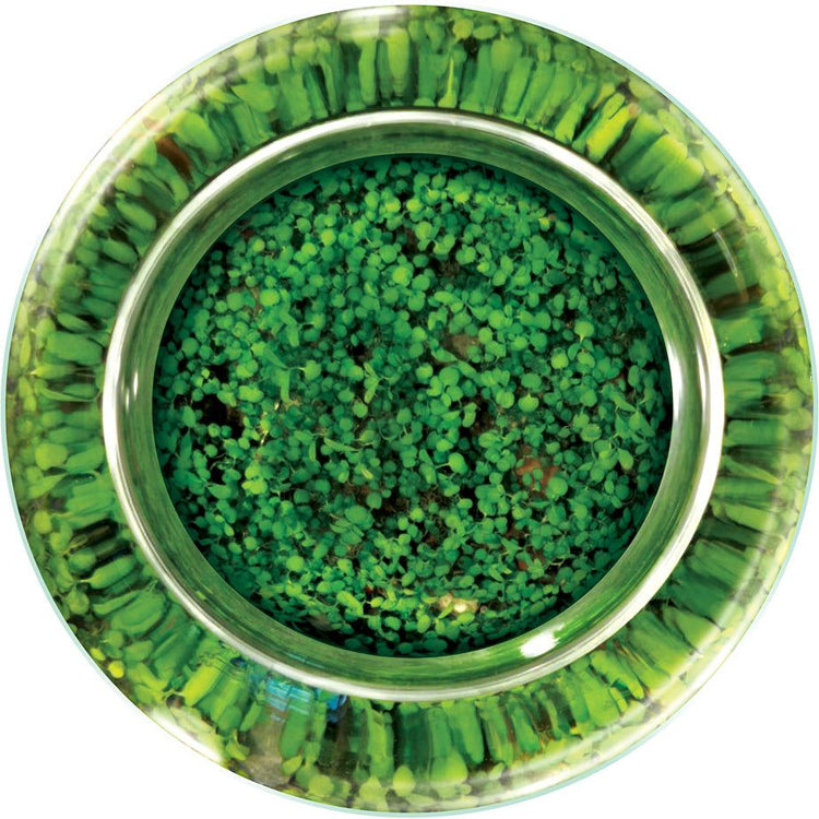 WaterPlants - Create Your Own Aquascape