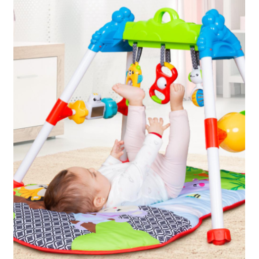 Jammin Gym with Play Mat 0+