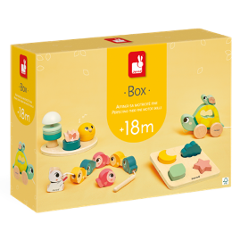 Developmental Activity Box J04064