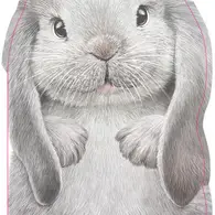 Furry Bunny Book Boardbook