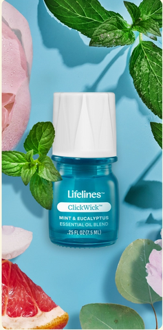 ClickWick | Mint & Eucalyptus - 1