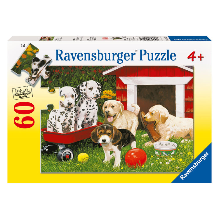 Puzzle | Puppy Party | 60 pc - CR Toys