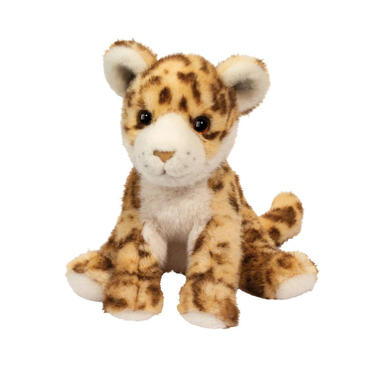 Scrappie Wild Cat Soft 4582