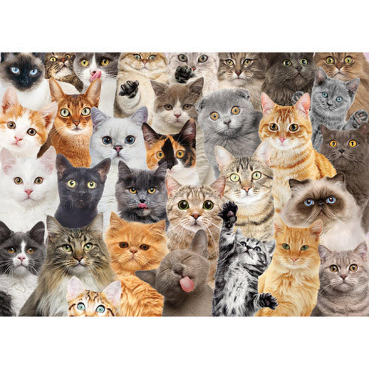 All The Cats 1000 Piece Jigsaw Puzzle