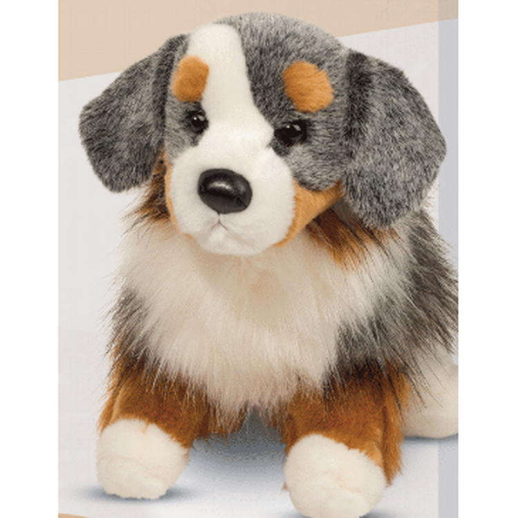 Sinclair Australian Shepherd