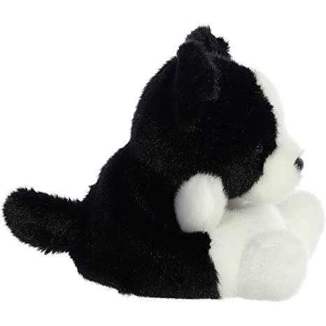 Palm Pals | Brody Collie