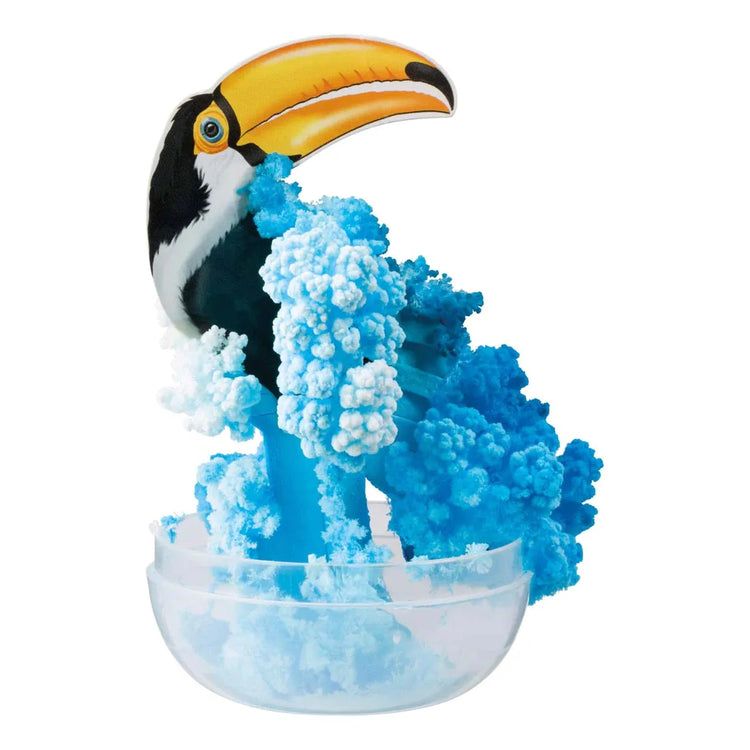 Amazing Grow | Tropical Birds