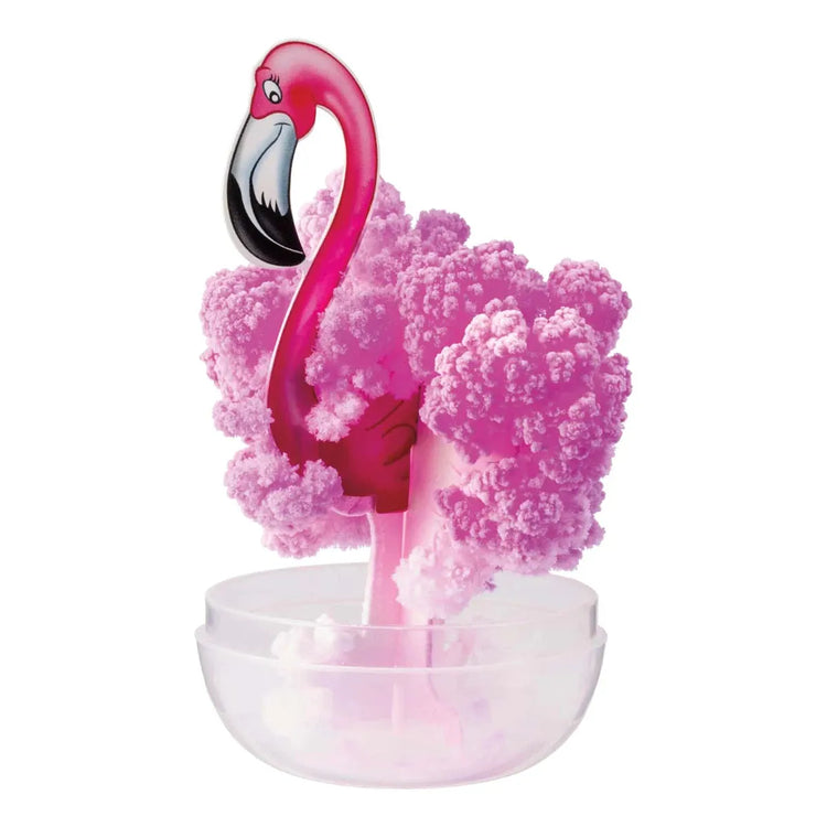 Amazing Grow | Tropical Birds