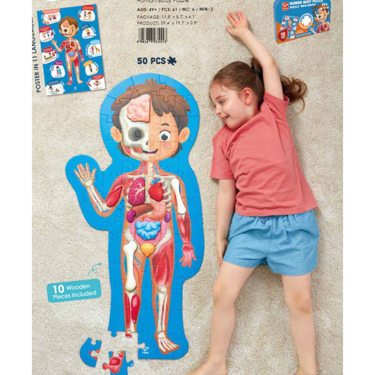 Human Body Puzzle 50Pc