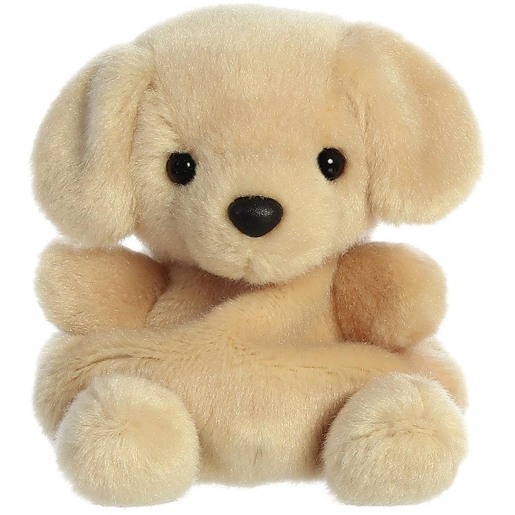 Palm Pals | Sunny Lab