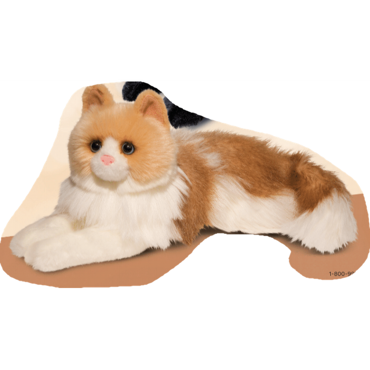 Kiki Ragdoll Cat 284