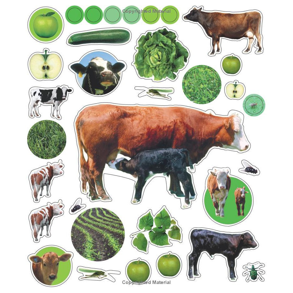 Eyelike Stickers: On The Farm Sticker Activity Book