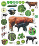 Eyelike Stickers: On The Farm Sticker Activity Book