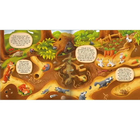 Discovering The Secret World Of Nature Underground Layered Board Book