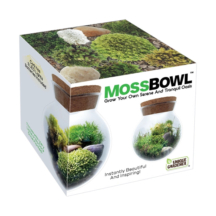 Moss Bowl - Grow Your Own Oasis