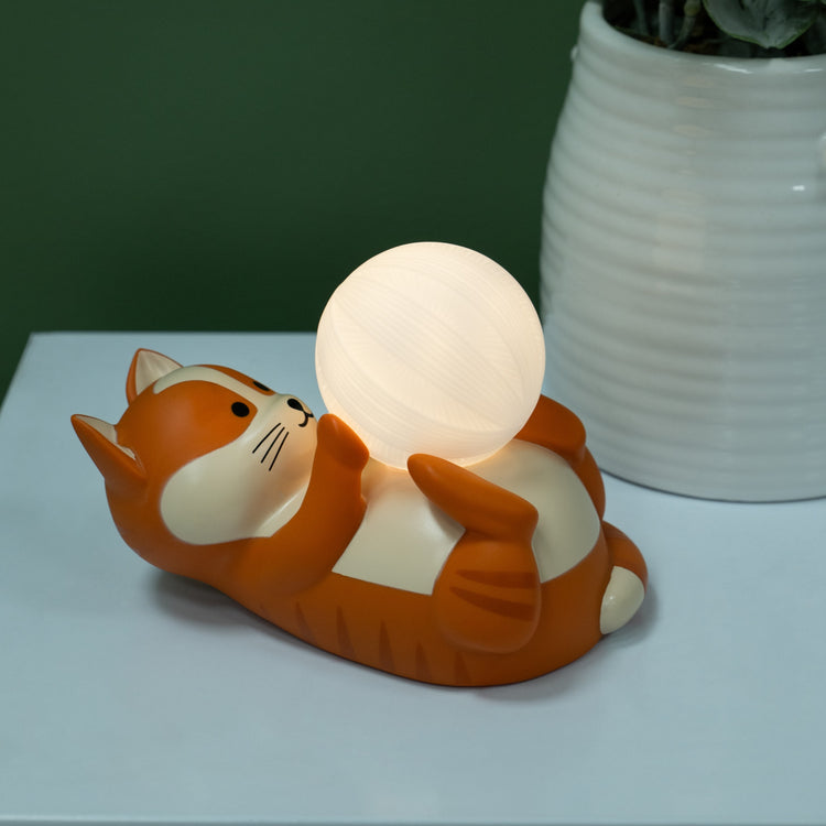 Nacho the Cat Mood Light 8+