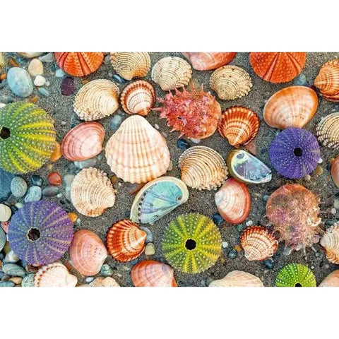 Puzzle | Mom By the Seashore  | 300 Pc - CR Toys