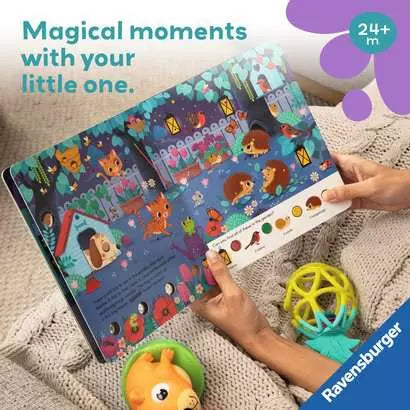Search and Shine: In the Night Seek and Find Board Book 2+ - 4