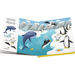 Shh Who's There? Baby Animals Sound Board Book 12m+ - 10